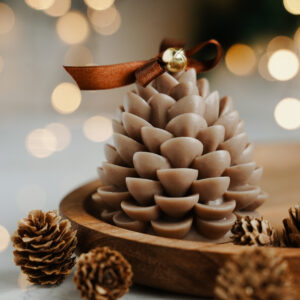 Ароматична свеќа Шишарка